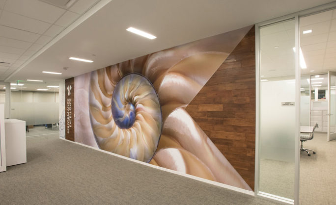 Harland Clarke Office Design - Modern office hallway with a wall mural showcasing a nautilus shell design, featuring warm colors and a wooden accent, promoting performance and excellence.