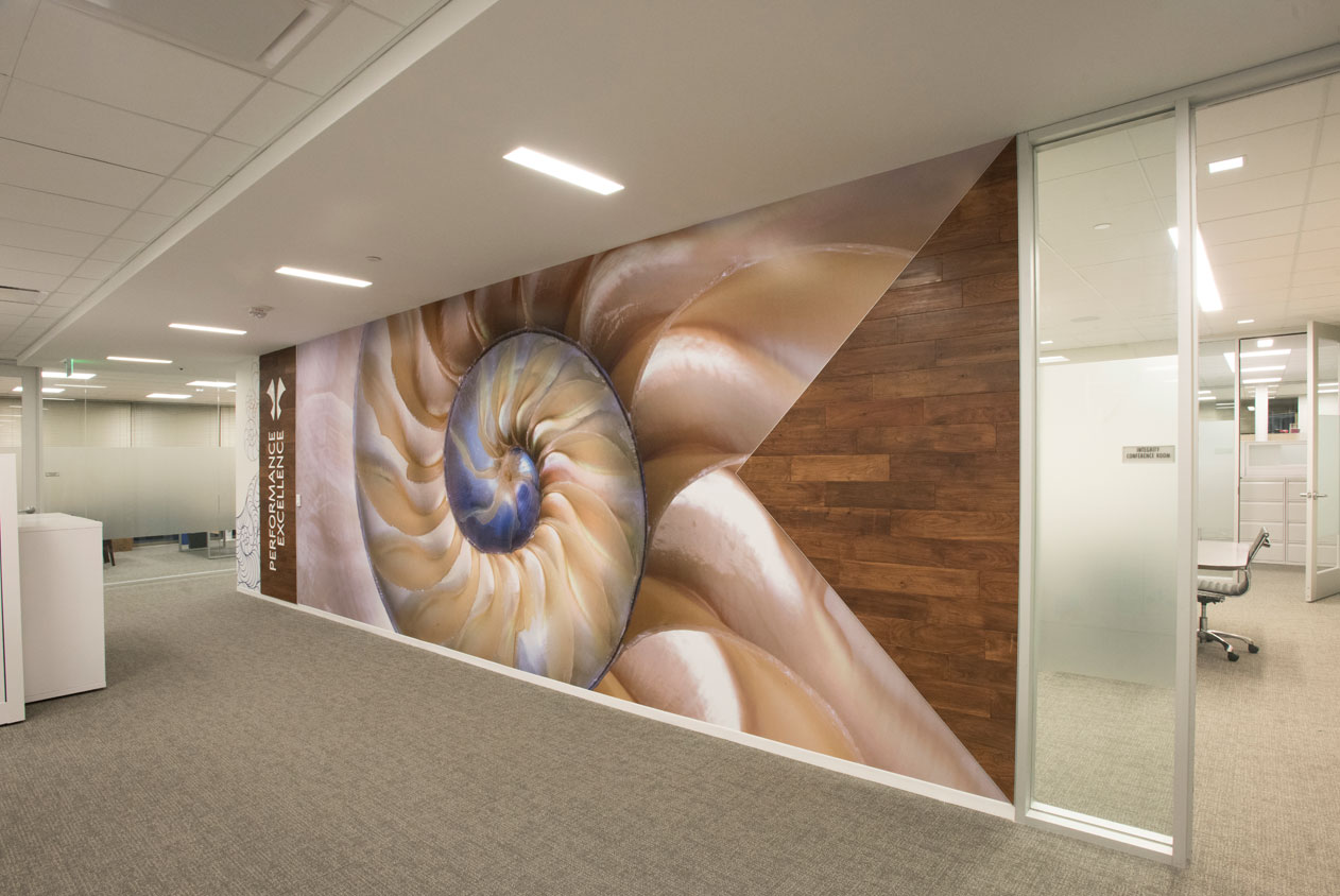 Harland Clarke Office Design - Modern office hallway with a wall mural showcasing a nautilus shell design, featuring warm colors and a wooden accent, promoting performance and excellence.