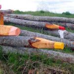 Creative outdoor installation of tree logs carved and painted to resemble giant pencils, laid on grassy terrain under a cloudy sky