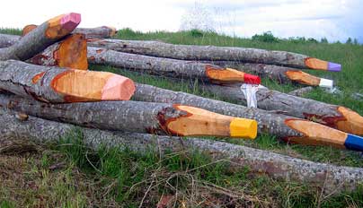 Creative outdoor installation of tree logs carved and painted to resemble giant pencils, laid on grassy terrain under a cloudy sky