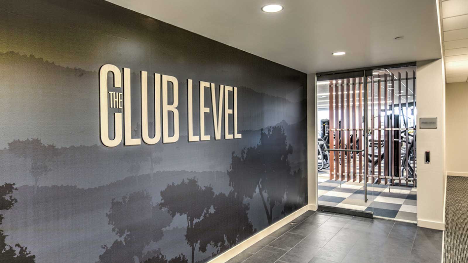 The Club Level - Entrance to ‘The Club Level’ featuring a sleek, modern design with a shadowed tree mural on the wall and a view into a gym through glass doors